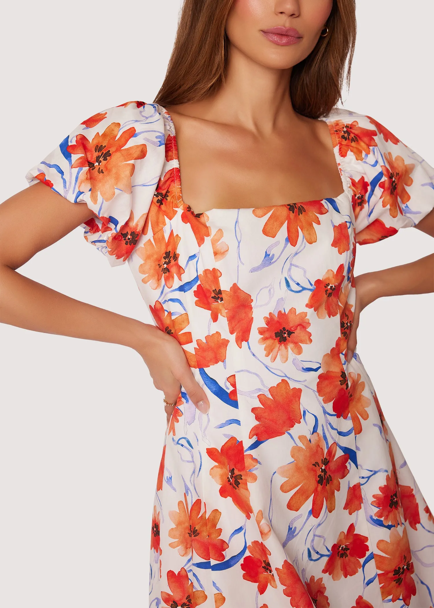 Poppy Blooms Mini Dress